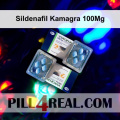 Sildenafil Kamagra 100Mg 252