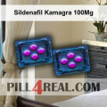 Sildenafil Kamagra 100Mg 311