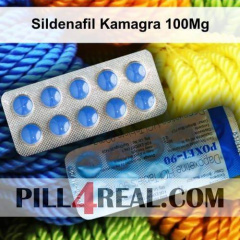 Sildenafil Kamagra 100Mg 480