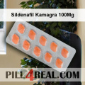 Sildenafil Kamagra 100Mg 577