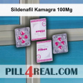 Sildenafil Kamagra 100Mg 858