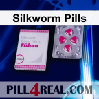 Silkworm Pills 031