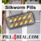 Silkworm Pills 294