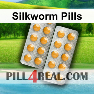 Silkworm Pills 383