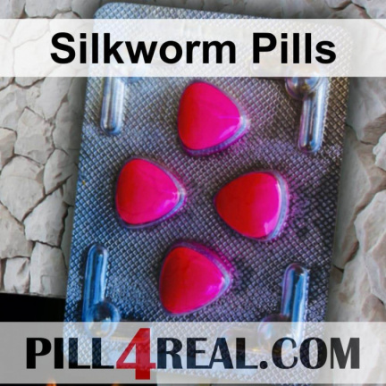 Silkworm Pills 504