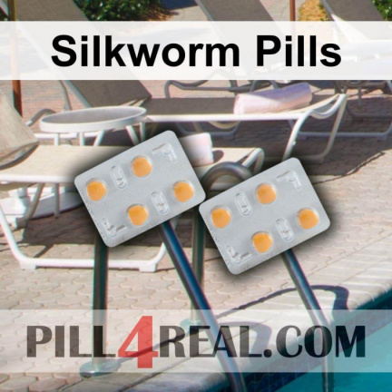Silkworm Pills 508