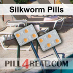 Silkworm Pills 508