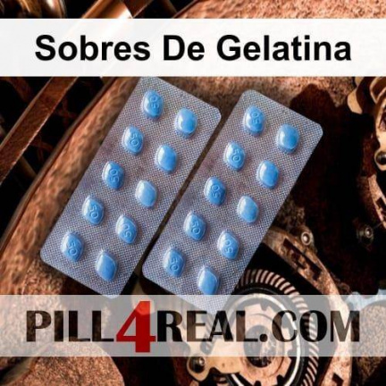 Sobres De Gelatina 330