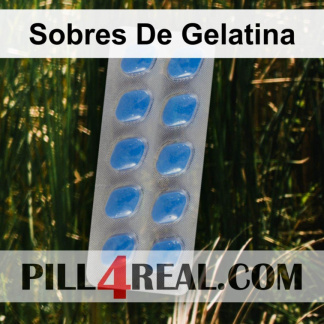 Sobres De Gelatina 689