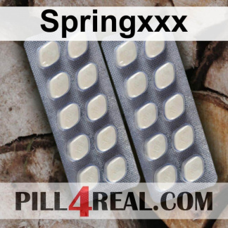 Springxxx 112