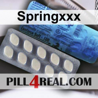 Springxxx 337