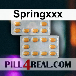 Springxxx 558