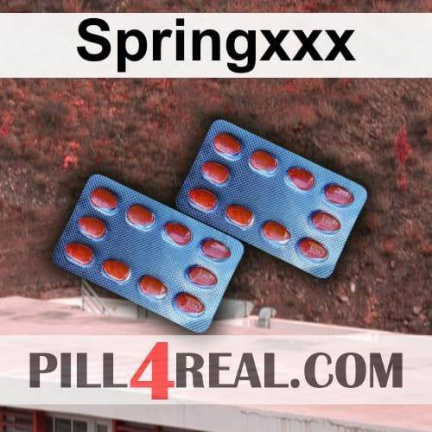 Springxxx 578