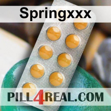 Springxxx 848