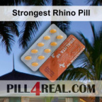 Strongest Rhino Pill 020