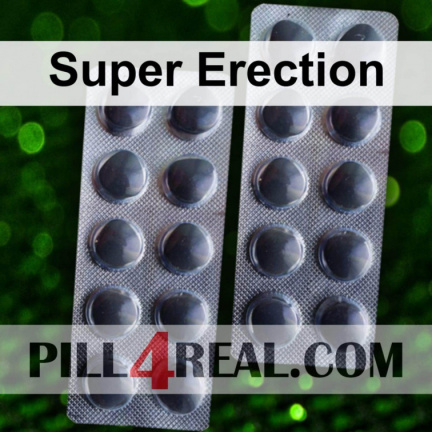 Super Erection 032