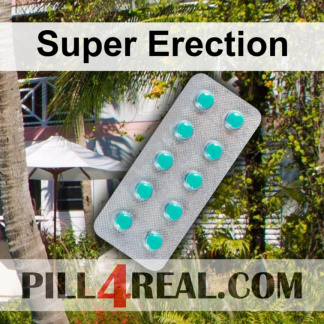 Super Erection 989