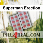 Superman Erection 073