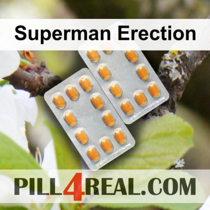 Superman Erection 220