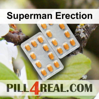 Superman Erection 220